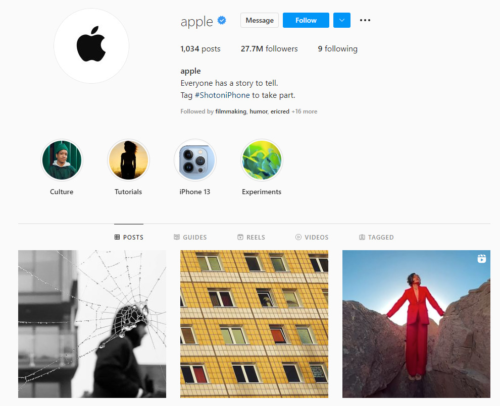 Businesses That Are Successful on Social Media: Apple Instagram Screen Shot