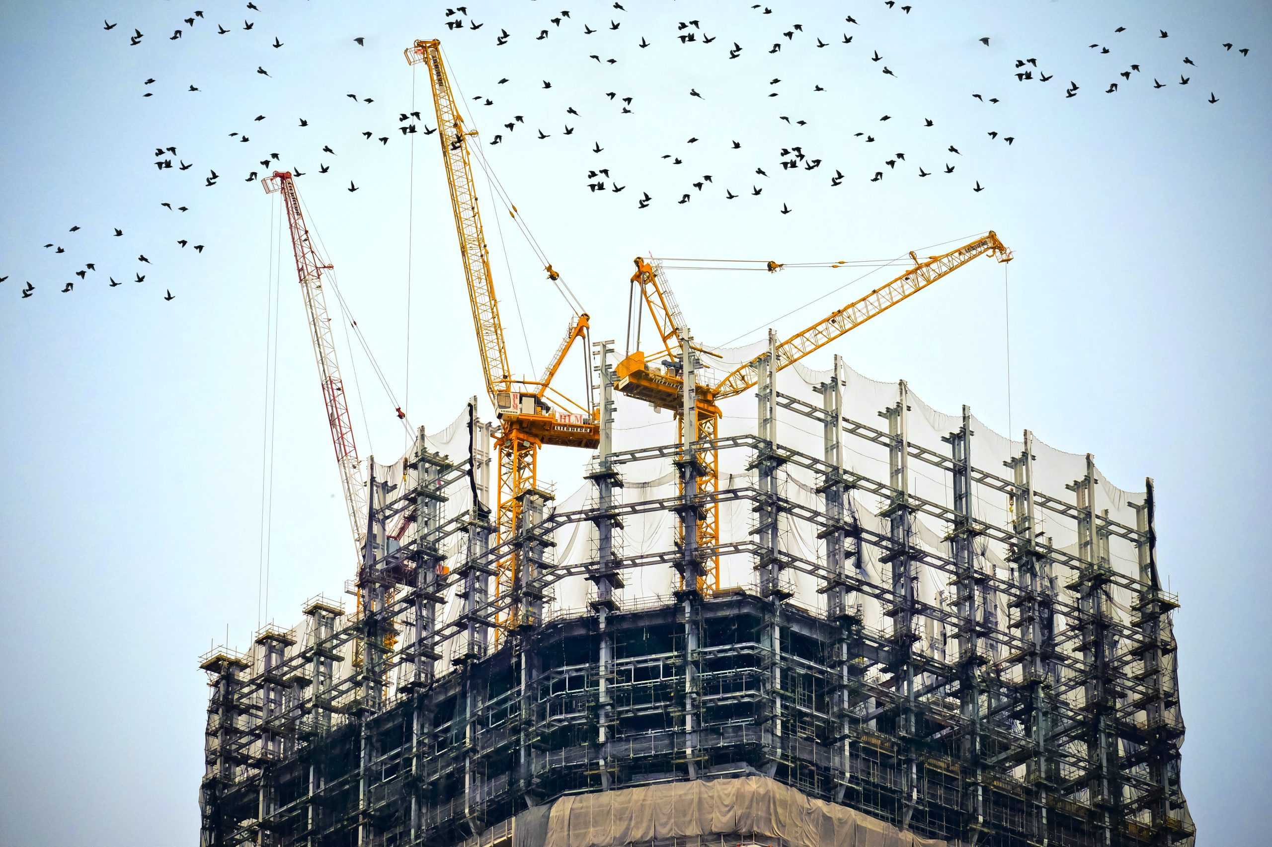 Discover How to Take Your Construction Business to the Next Level